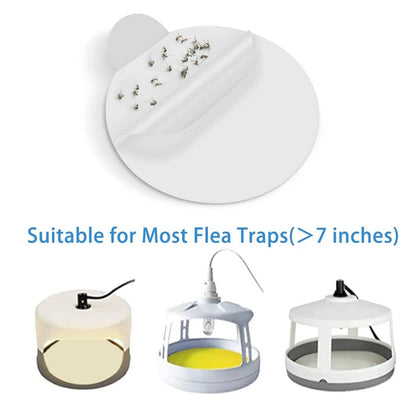 Sticky Bed Bug Trap Refill Glue Boards